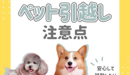 犬や猫などペットと引越しする時に注意するポイント！必要な手続きを詳しく解説