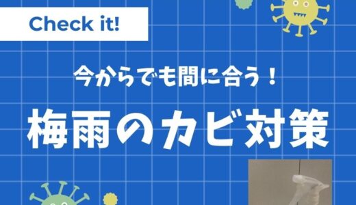 カビをエタノール・アルコールで除去する方法！消毒用と無水どっちが良い？