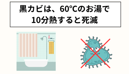 カビを死滅させる温度は何度？！アルコールと熱湯の消毒作用はどっちが上？