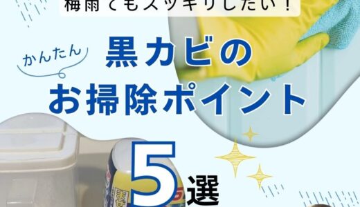 黒カビの除去方法のコツ！守るべき注意点とカビ取り洗剤に頼らない撃退法